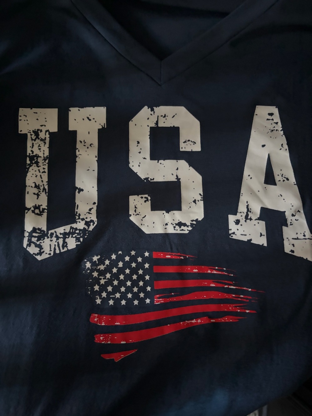 USA Graphic V-Neck T-Shirt in Navy